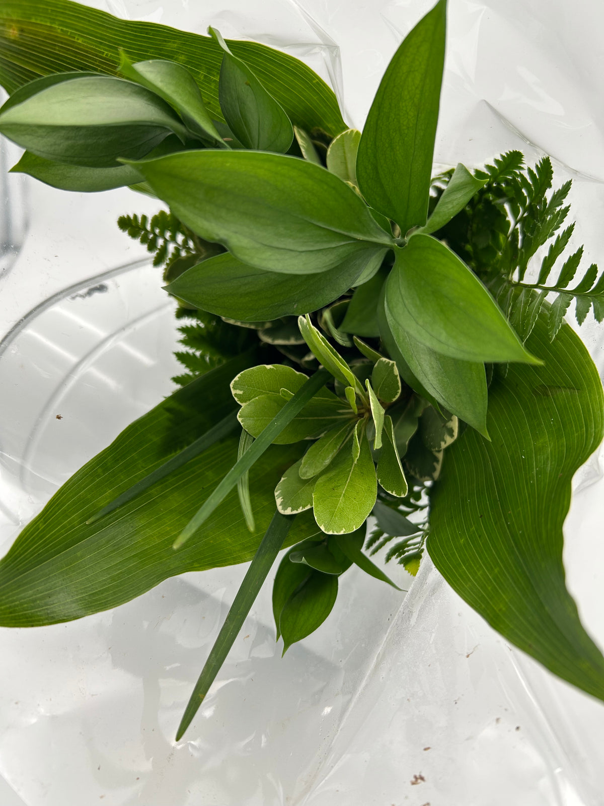 Bouquet of Mixed Greens (15 stem)