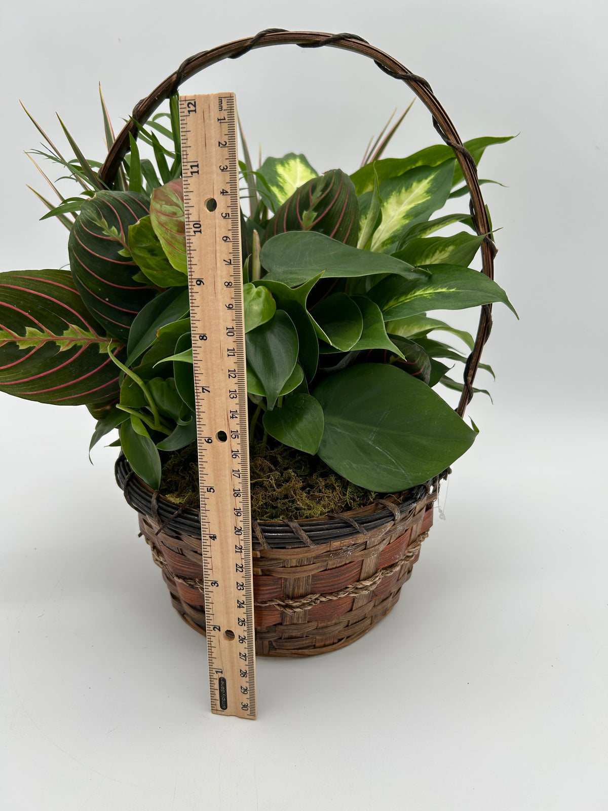 8" Wicker Garden Basket