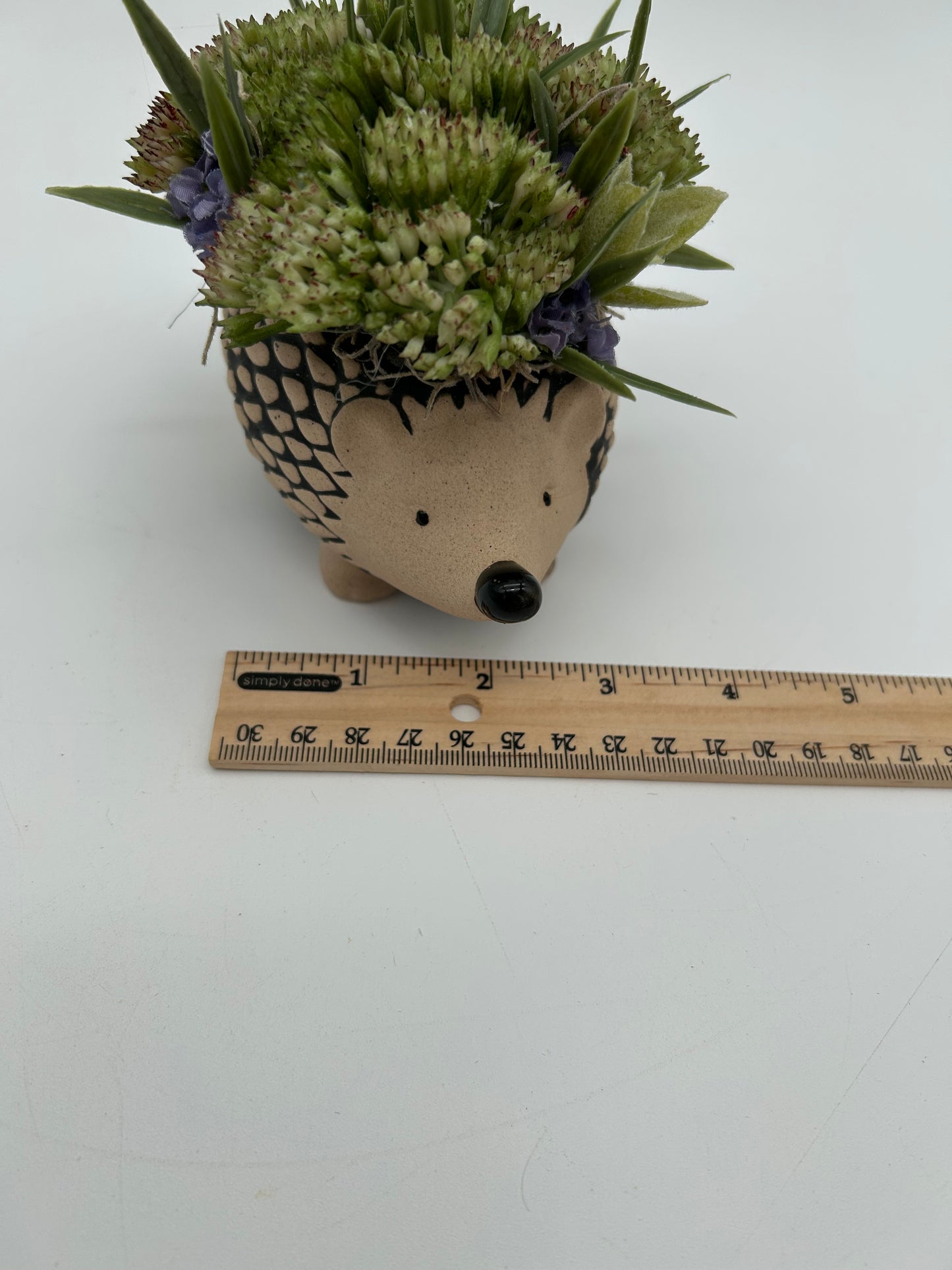 Little Hedgy- artificial arrangement