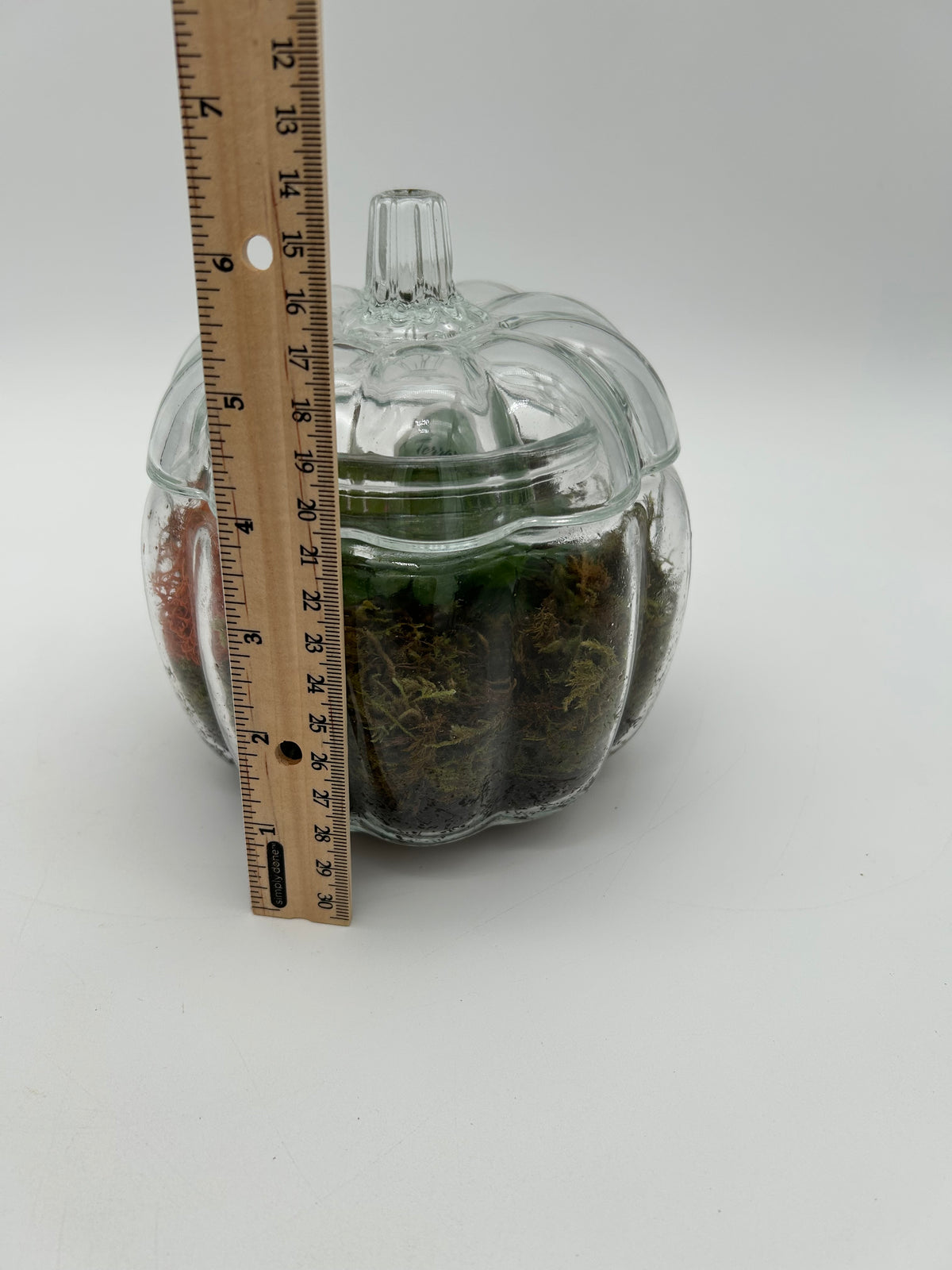 6" Glass Pumpkin Terrarium