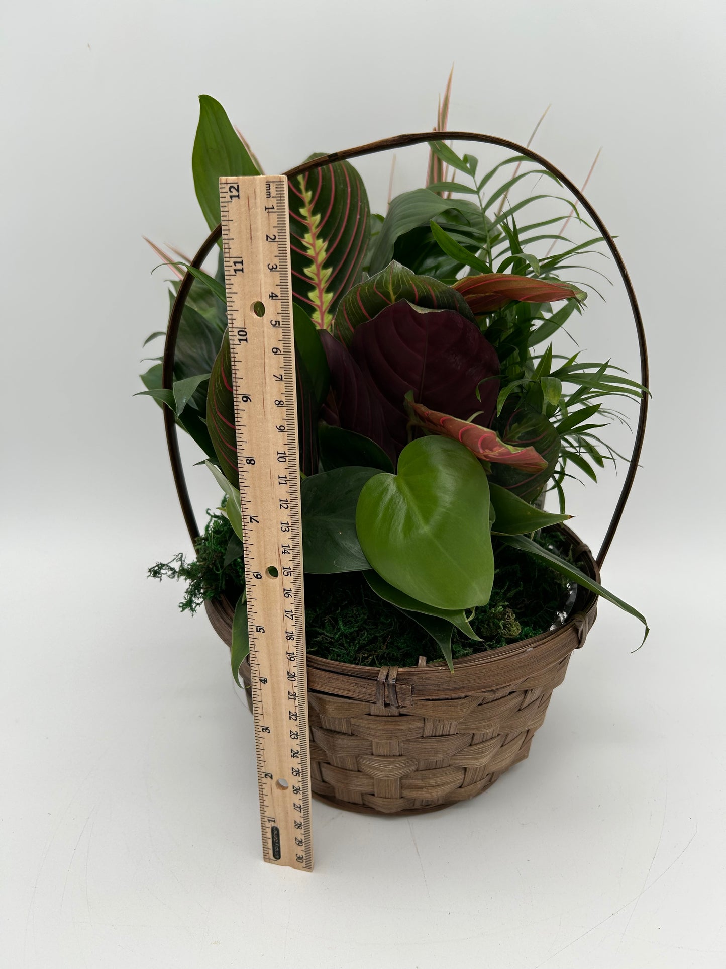 8" Dish Garden Garden - Basket