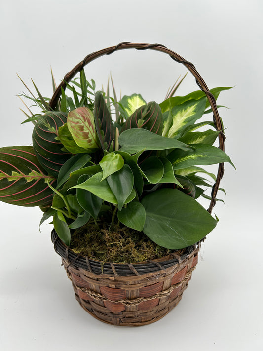8" Wicker Garden Basket
