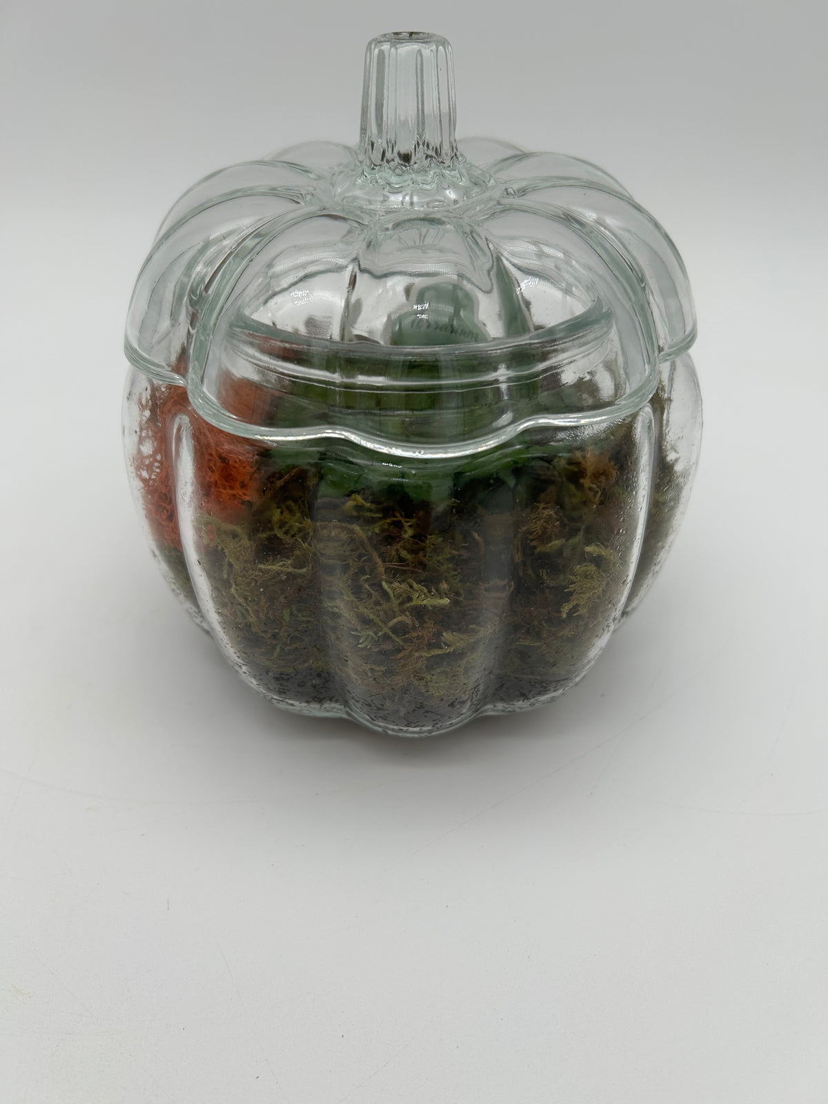 6" Glass Pumpkin Terrarium