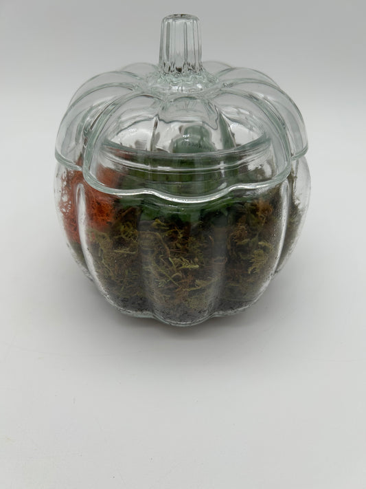 6" Glass Pumpkin Terrarium