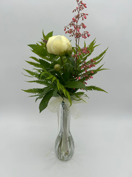 Garden Delight - Lemon Chiffon Peony