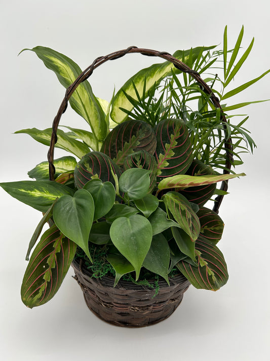 8" Basket Garden