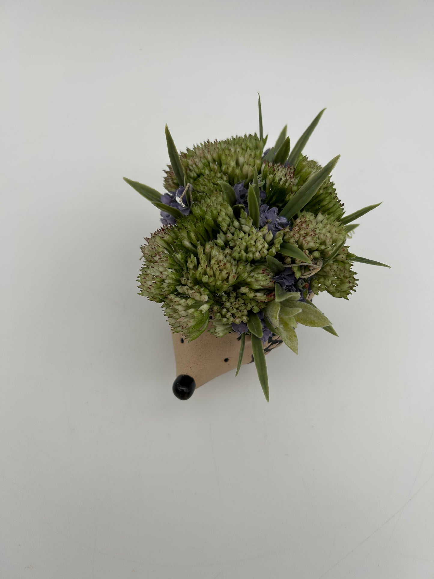Little Hedgy- artificial arrangement