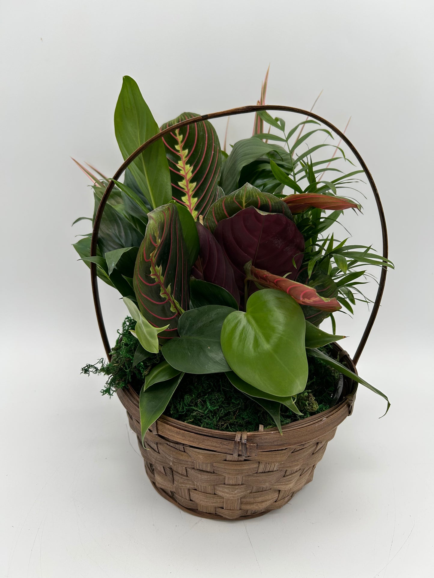 8" Dish Garden Garden - Basket